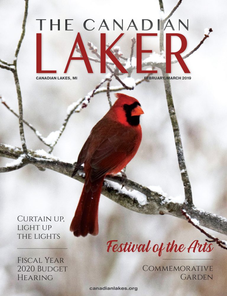 The Canadian Laker February March 2019