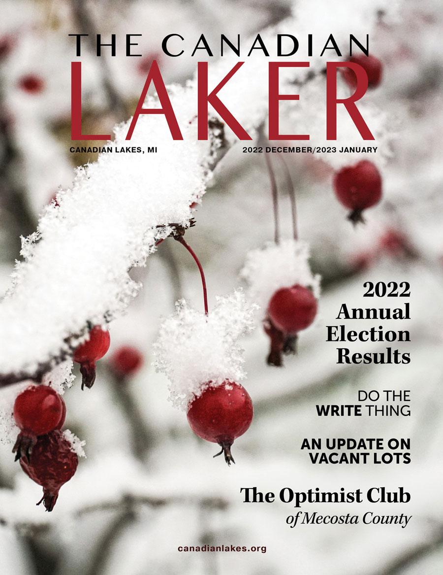Winter Laker Book 2022 by Detroit Lakes Newspapers - Issuu